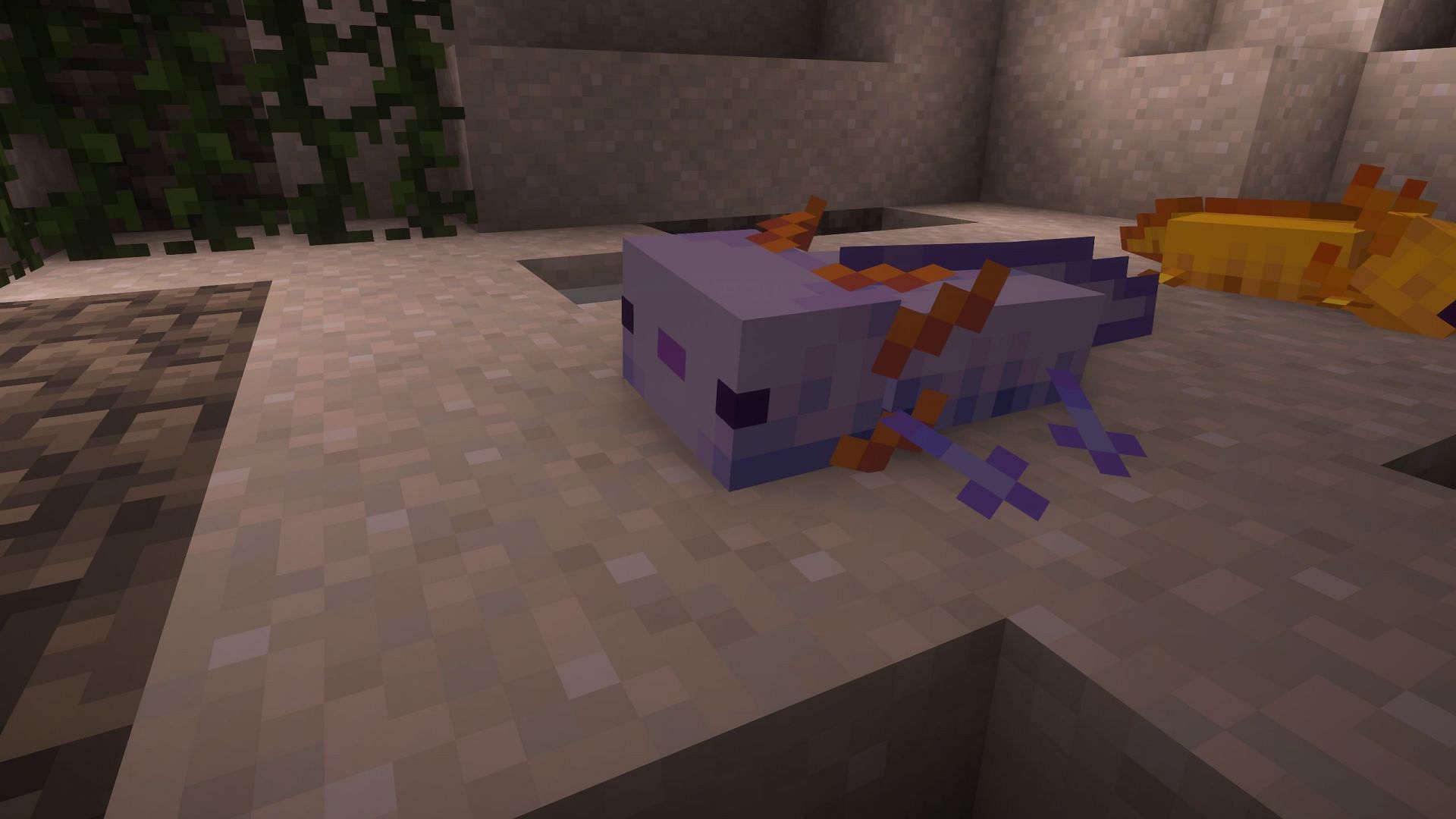 Blue variant is not only the rarest axolotl, but the rarest mob to find in the game (Image via Sportskeeda Gaming || Mojang Studios)